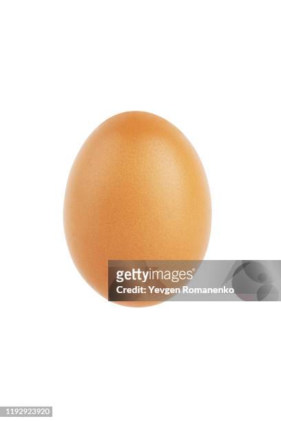 close up of egg isolated on white background - egg stockfoto's en -beelden