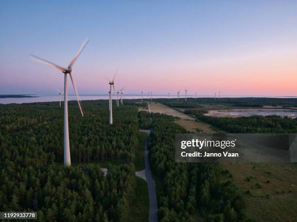 windmill - estonia stock pictures, royalty-free photos & images