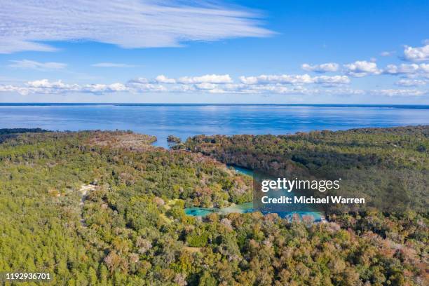 ocala national forest - silver glen springs - ocala stock pictures, royalty-free photos & images