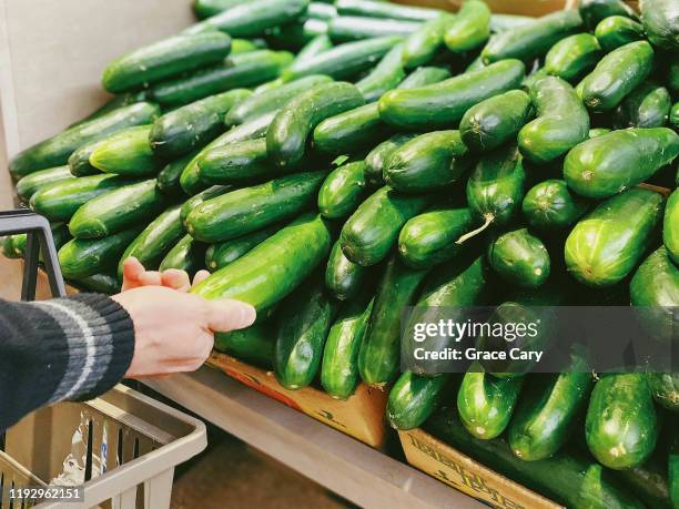 man picks out cucumber at market - man holding cucumber stock pictures, royalty-free photos & images
