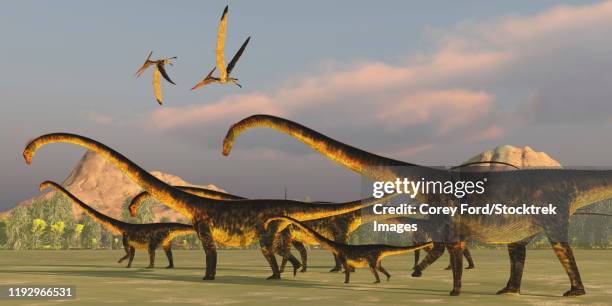 a barosaurus dinosaur herd with pteranodon reptiles flying overhead. - barosaurus stock illustrations