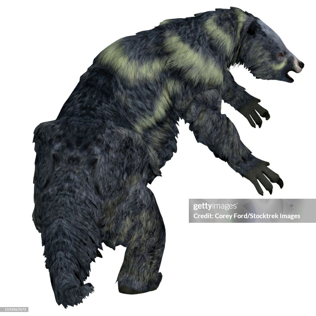 Eremotherium ground sloth.