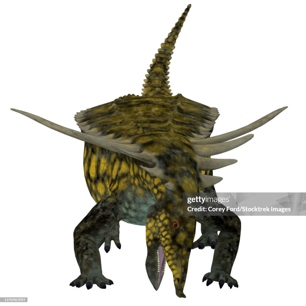 Desmatosuchus armored dinosaur, front view.