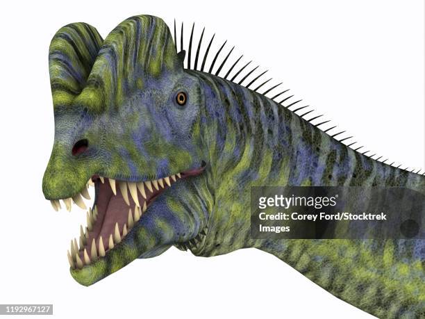  fotos e imágenes de Dinosaurios 3d - Getty Images