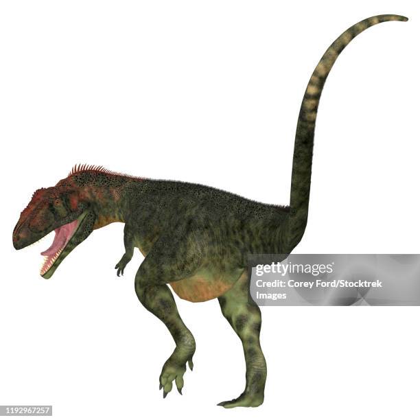 Mapusaurus Photos and Premium High Res Pictures - Getty Images