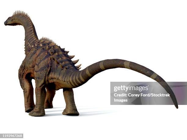 alamosaurus dinosaur, rear view. - alamosaurus stock illustrations