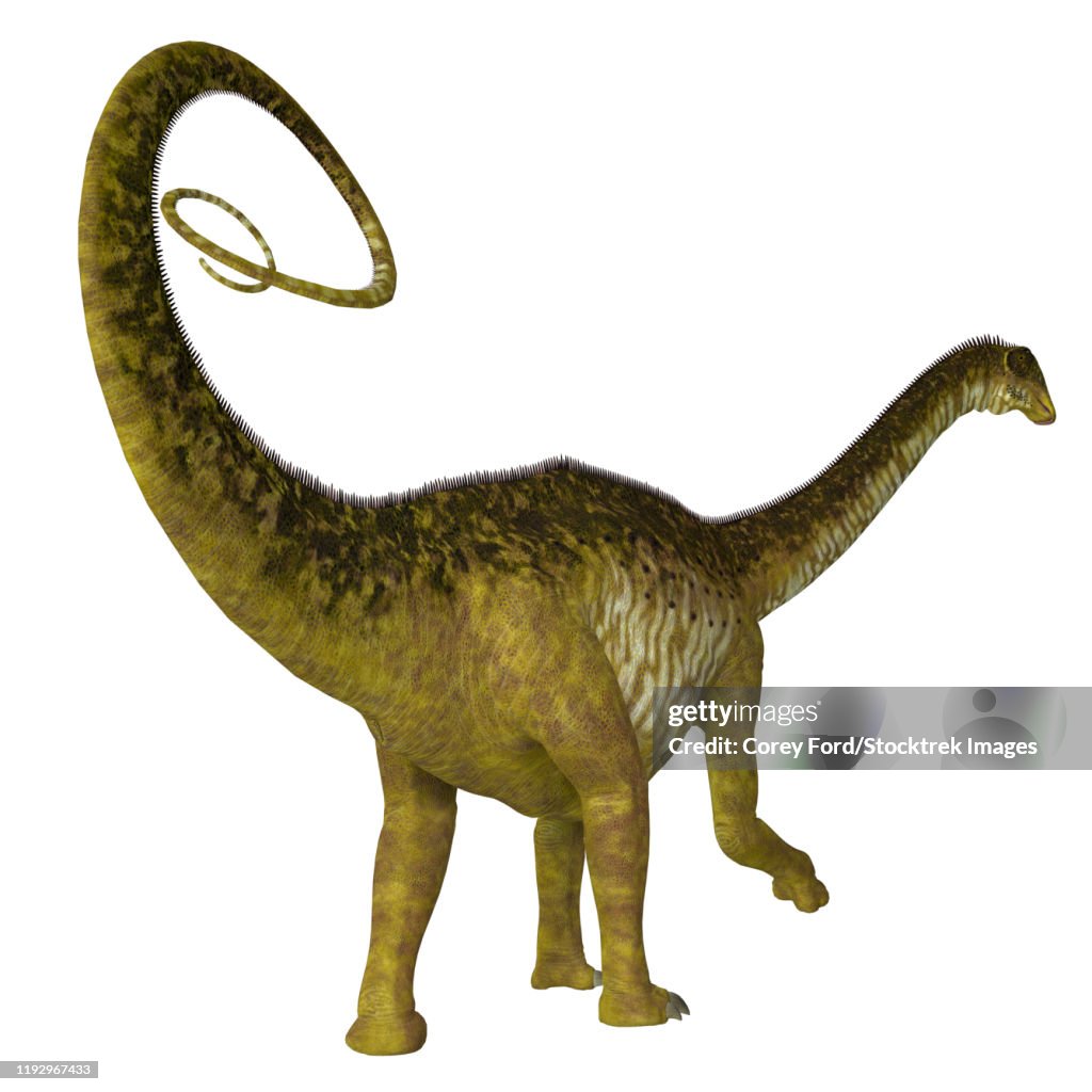 Dinosaur Rear Nigersaurus Dinosaur Rear View High-Res Vector Graphic - Getty Images