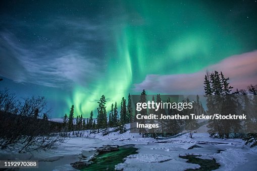 Northern Lights Above Fish Lake Whitehorse Yukon Canada High Res Stock northern-lights-above-fish-lake-whitehorse-yukon-canada-high-res-stock