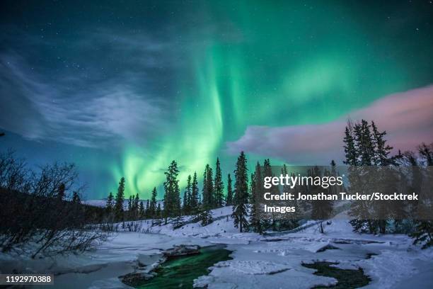 northern lights above fish lake, whitehorse, yukon, canada. - whitehorse stock pictures, royalty-free photos & images