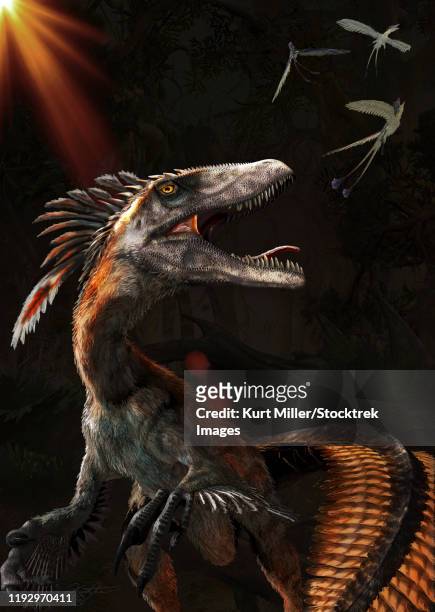 deinonychus dinosaur chasing tiny feathered birds above. - deinonychus stock illustrations