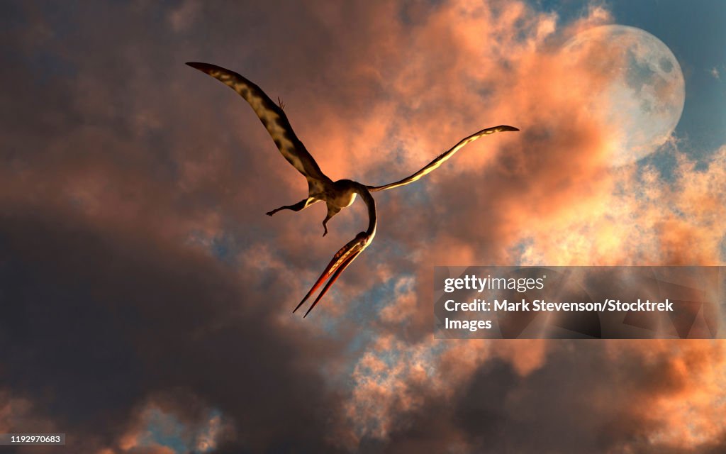 A large Quetzalcoatlus flying in the cloudy sky.