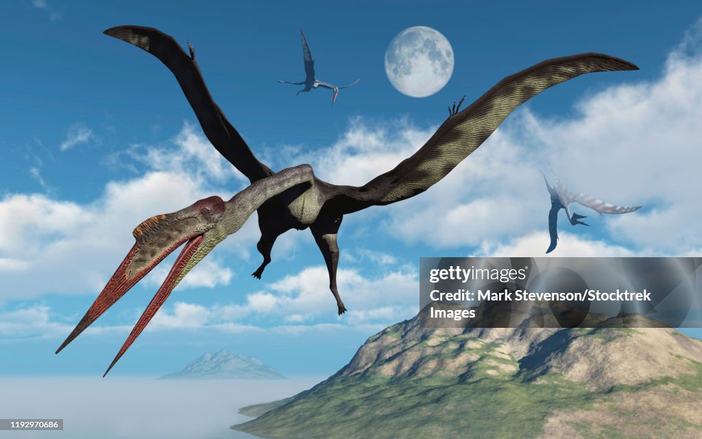 A flock of large Quetzalcoatlus flying over a prehistoric era island.