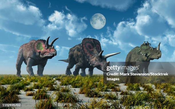 A Triceratops Torosaurus And Centrosaurus Dinosaur High-Res Vector Graphic