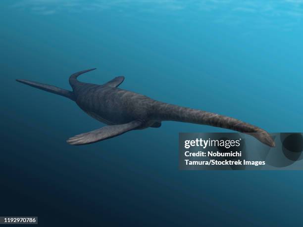 yunguisaurus liae, sauropterygian, late triassic of china. - paläobiologie stock-grafiken, -clipart, -cartoons und -symbole