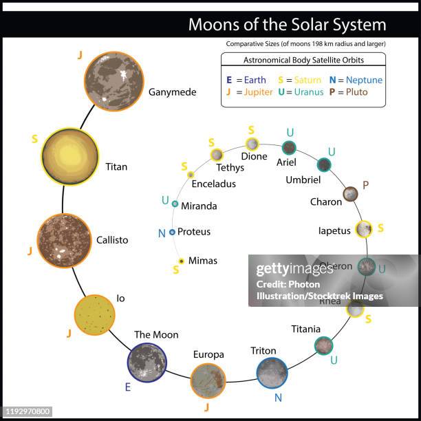 ilustraciones, imágenes clip art, dibujos animados e iconos de stock de a diagram depicting the relative sizes of the major moons of the solar system. - radio hueso del brazo