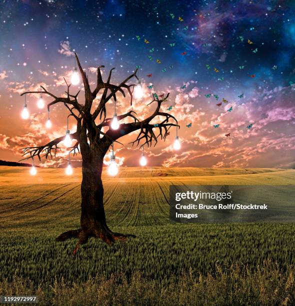 light bulbs growing on a tree at sunset. - bruce stock illustrations