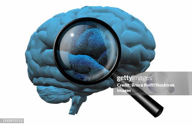 350 Ilustraciones de Prueba Psicologica - Getty Images 350 Ilustraciones de Prueba Psicologica - Getty Images