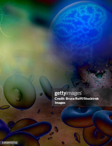 bloodstream to human brain. 3d model - microbiota brain stock illustrations