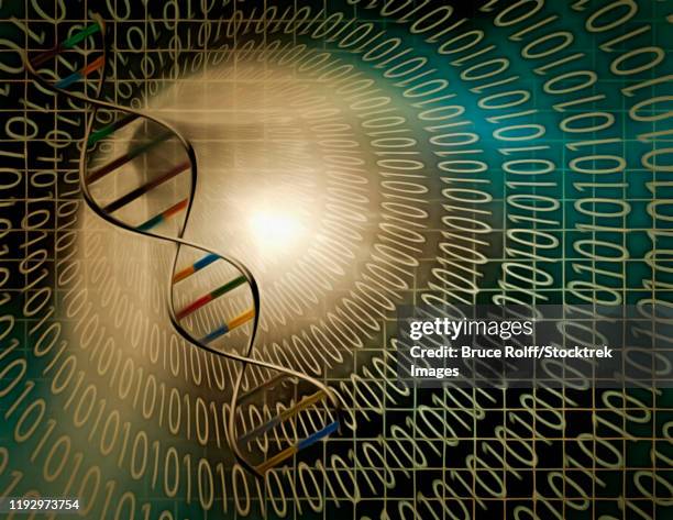 Dna Computer Code 52 Dna Sequence Code High Res Illustrations - Getty Images