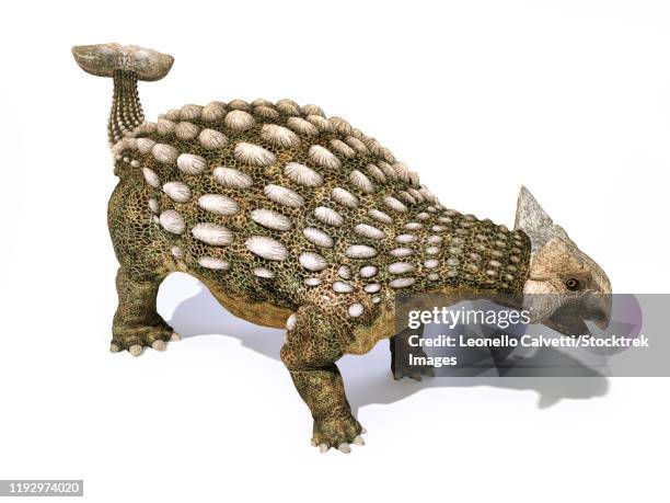 ilustrações, clipart, desenhos animados e ícones de ankylosaurus dinosaur isolated on white background. - scute