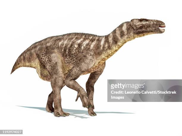  fotos e imágenes de Dinosaurios 3d - Getty Images