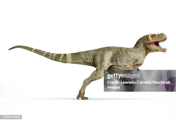 1 409点の恐竜 足のストックフォト Getty Images 1 409点の恐竜 足のストックフォト Getty Images