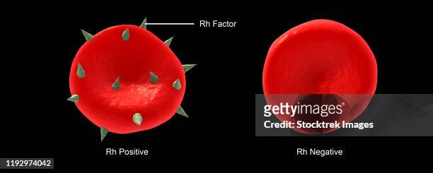 ilustraciones, imágenes clip art, dibujos animados e iconos de stock de conceptual illustration of rh factor on a red blood cell. - membrana celular