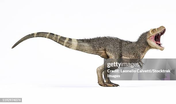 3d rendering of t-rex with feathers, side view on white background. - triassic stock illustrations