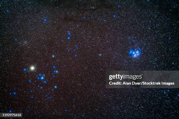 Paladies The Pleiades Photos and Premium High Res Pictures - Getty Images