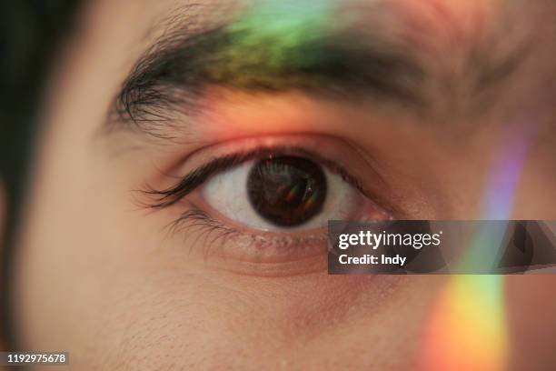 close-up of sunlight on a man's face - rainbow-eyebrows stock pictures, royalty-free photos & images
