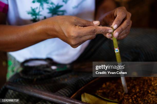 Detail of a woman's hands as she makes traditional, cheroot cigars at a local production facility in the Inle lake area.