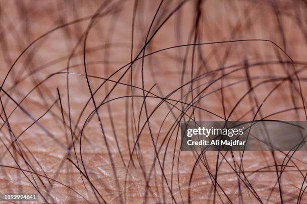 body hair - hairy body stock pictures, royalty-free photos & images