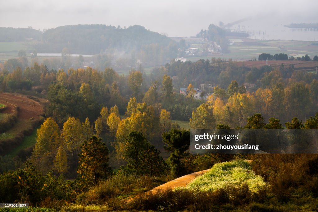 Background Rural Morning The Morning Of The Rural Scenery High-Res Stock Photo - Getty Images