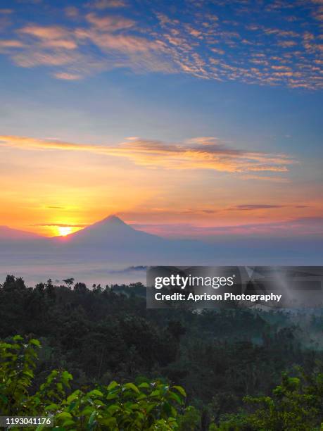 59 Centra Java Stock Photos, High-Res Pictures, and Images - Getty Images