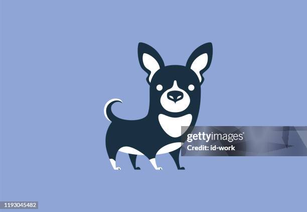 chihuahua hund symbol - chihuahua stock-grafiken, -clipart, -cartoons und -symbole