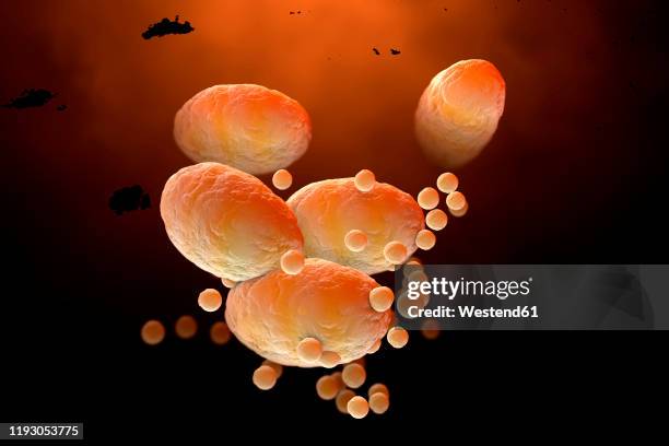 three dimensional render of fat cells clogging together in human body - fettgewebezelle stock-grafiken, -clipart, -cartoons und -symbole