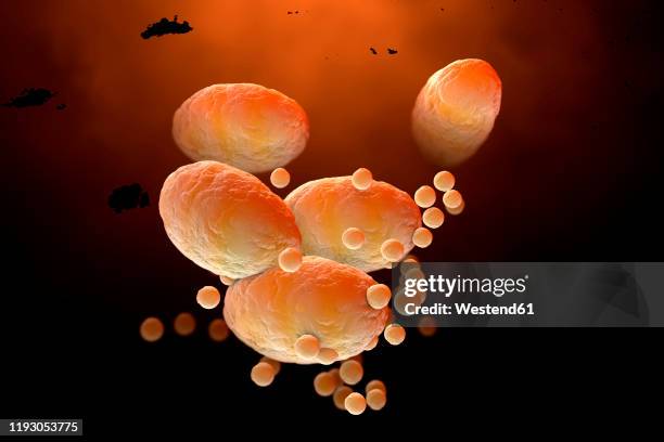 three dimensional render of fat cells clogging together in human body - adipose cell stock illustrations