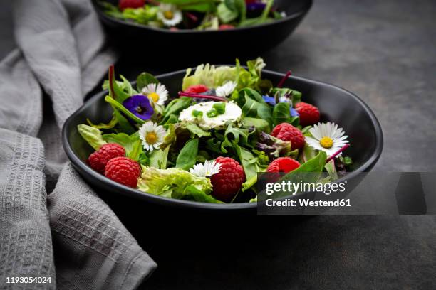 bowl of fresh salad with arugula, spinach, chard, oak leaf,lollorossolettuce, corn salad, raspberries, cream cheese, chive and edible flowers - oak leaf - fotografias e filmes do acervo