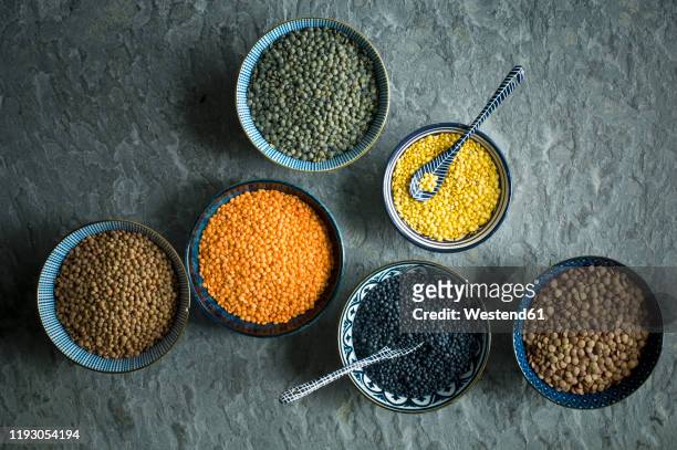 bowls of colorful lentils - green lentil stock pictures, royalty-free photos & images