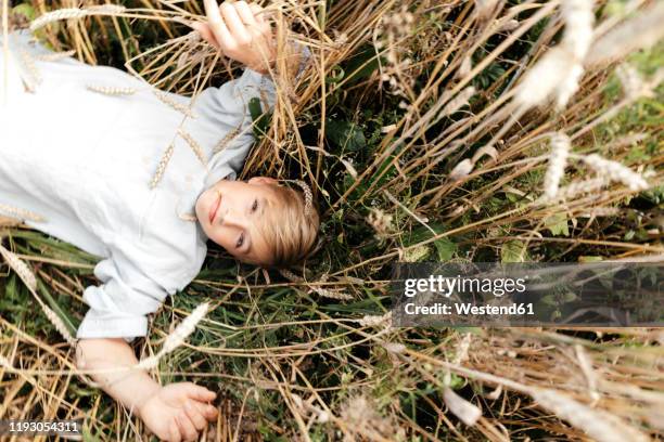 portrait of blond boy with oat ear in mouth lying in an oat field - oat ear stock pictures, royalty-free photos & images