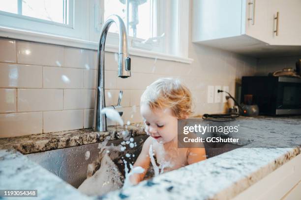 my favorite bath experience - bay splashing water in the kitchen sink - kitchen sink stock pictures, royalty-free photos & images