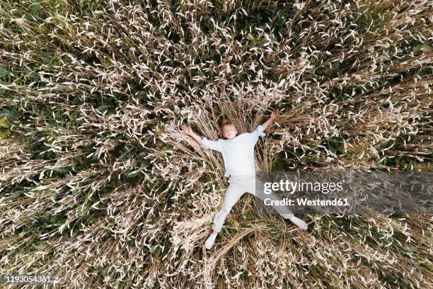 blond boy lying outstretched in an oat field - oat ear stock pictures, royalty-free photos & images