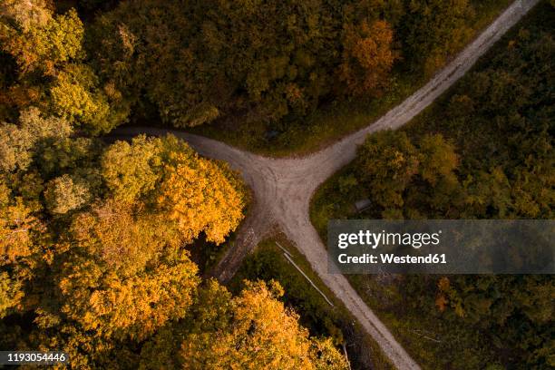 austria,lower austria, aerial view of junction of gravel road in autumn forest - changing color stock pictures, royalty-free photos & images