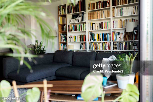 couch and bookshelf in cozy living room - bookshelf foto e immagini stock