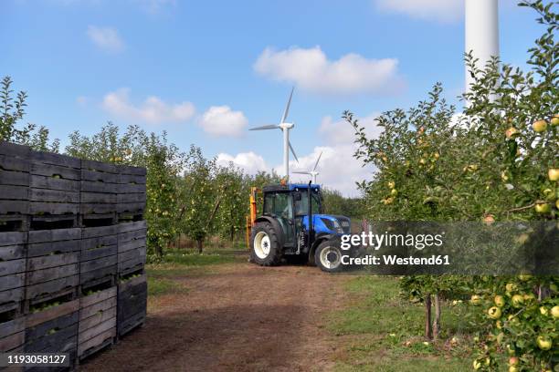 tractor with boxes of harvested apples on a fruit plantation - orchard stock pictures, royalty-free photos & images