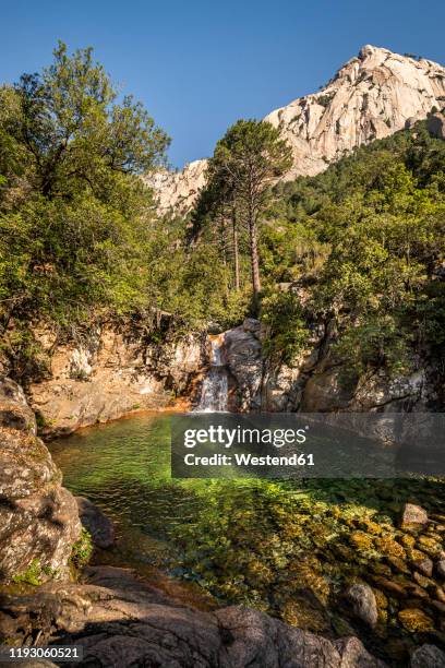 waterfall and pool, ruisseau de polischellu, corse-du-sud, corsica, france - corse du sud stock pictures, royalty-free photos & images