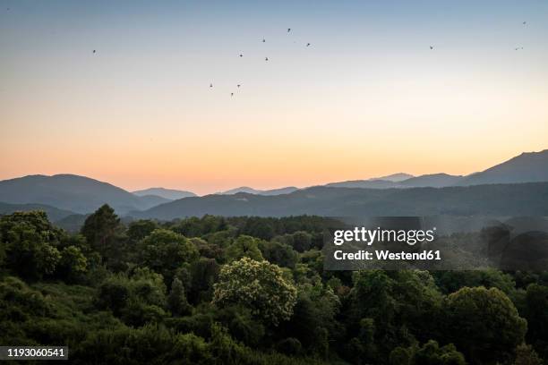 view at sunset, zonza, corsica, france - paysage français photos et images de collection