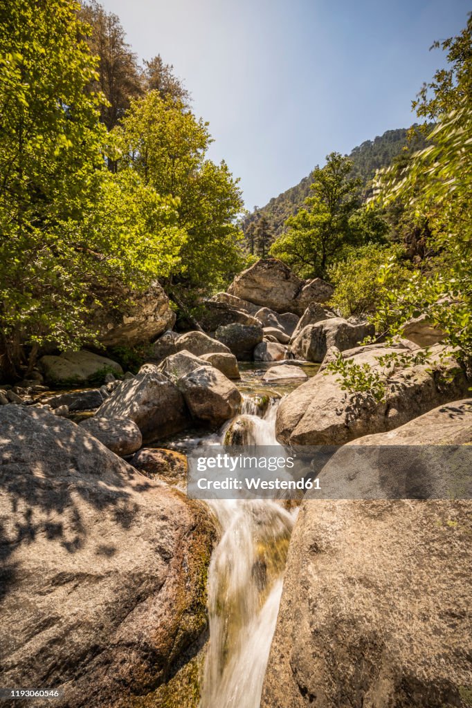 River, Corte, Haute-Corse, Corsica, France