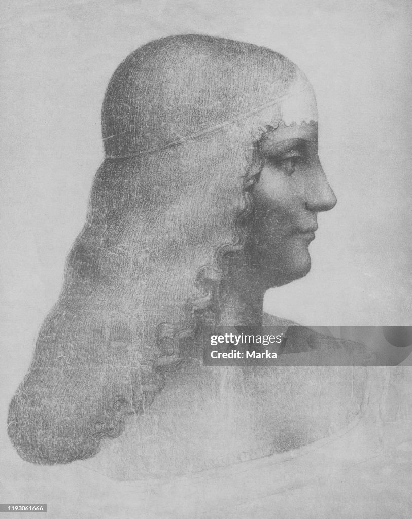 Cartoon for the portrait of Isabella d'este. 1499-1500. presumably attributable to Leonardo da Vinci. Louvre Museum. Paris
