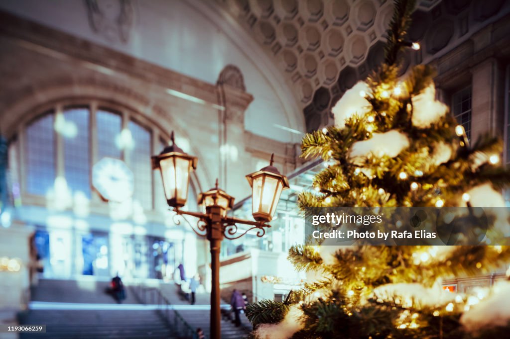 Christmas tree and streetlamp
